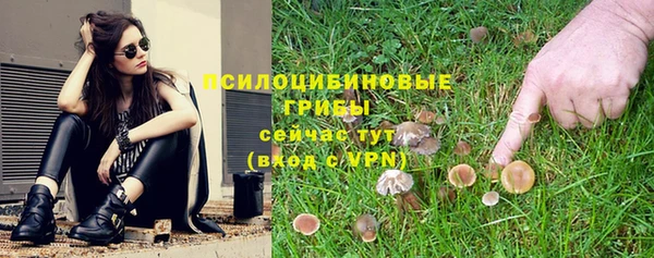 амф Новозыбков