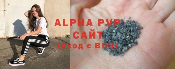 амф Новозыбков