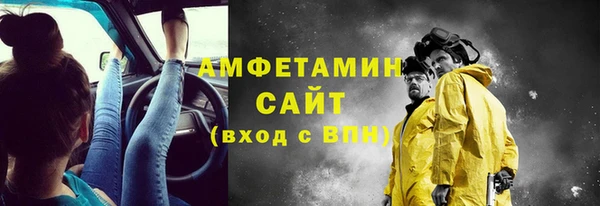 амф Новозыбков