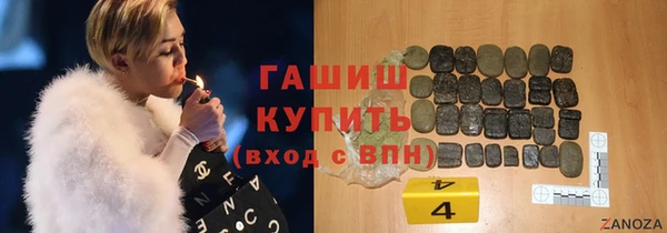 амф Новозыбков