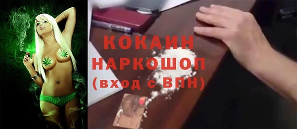 амф Новозыбков