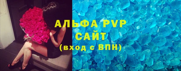 амф Новозыбков