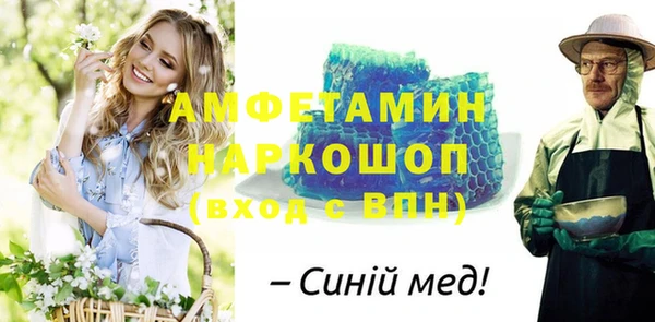 амф Новозыбков