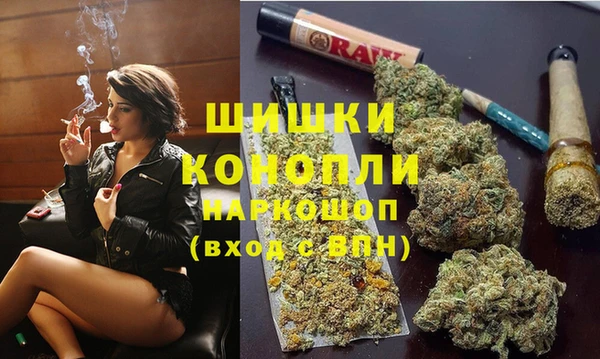 амф Новозыбков